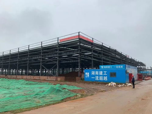 益陽總投資8.229億元大項目預(yù)計12月建成投產(chǎn)，房屋建筑工程施工穩(wěn)步推進